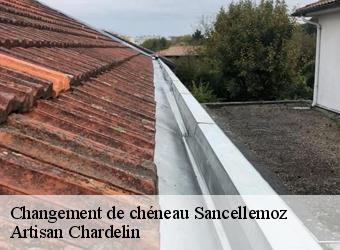 Changement de chéneau  sancellemoz-74480 Artisan Chardelin