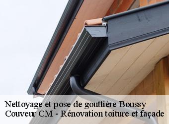 Nettoyage et pose de gouttière boussy-74150 Couveur CM - Rénovation toiture et façade