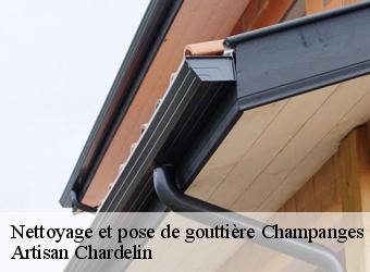 Nettoyage et pose de gouttière  champanges-74500 Artisan Chardelin