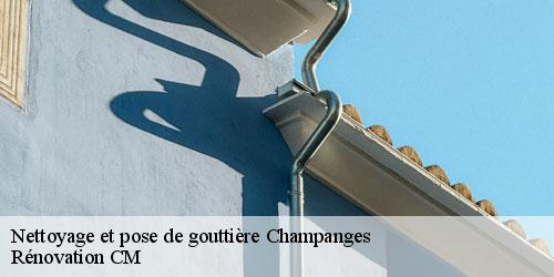 Nettoyage et pose de gouttière  champanges-74500 Rénovation CM