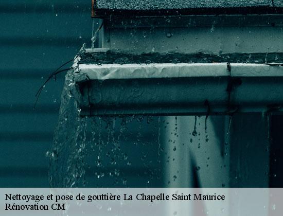 Nettoyage et pose de gouttière  la-chapelle-saint-maurice-74410 Rénovation CM