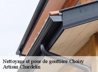 Nettoyage et pose de gouttière  choisy-74330 Artisan Chardelin