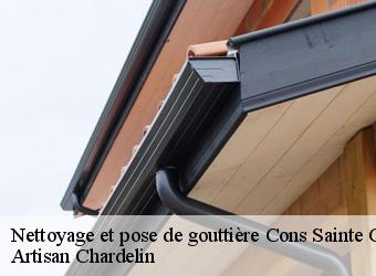 Nettoyage et pose de gouttière  cons-sainte-colombe-74210 Artisan Chardelin