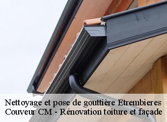 Nettoyage et pose de gouttière etrembieres-74100 Couveur CM - Rénovation toiture et façade