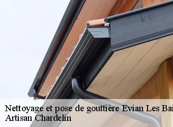 Nettoyage et pose de gouttière  evian-les-bains-74500 Artisan Chardelin