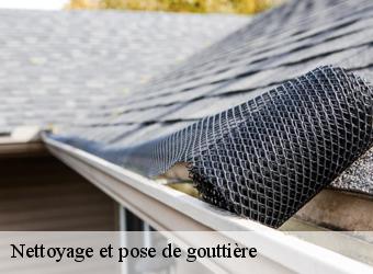 Nettoyage et pose de gouttière