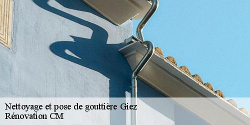 Nettoyage et pose de gouttière giez-74210 Rénovation CM
