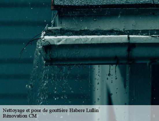 Nettoyage et pose de gouttière  habere-lullin-74420 Rénovation CM