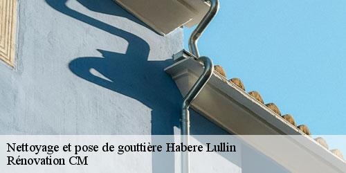 Nettoyage et pose de gouttière  habere-lullin-74420 Rénovation CM