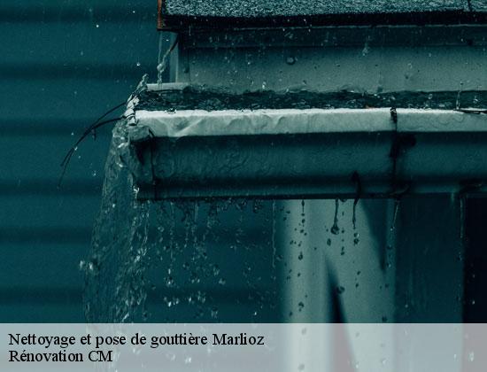 Nettoyage et pose de gouttière marlioz-74270 Rénovation CM