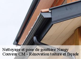 Nettoyage et pose de gouttière  nangy-74380 Couveur CM - Rénovation toiture et façade