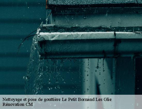 Nettoyage et pose de gouttière le-petit-bornand-les-glie-74130 Rénovation CM
