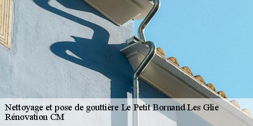 Nettoyage et pose de gouttière le-petit-bornand-les-glie-74130 Rénovation CM