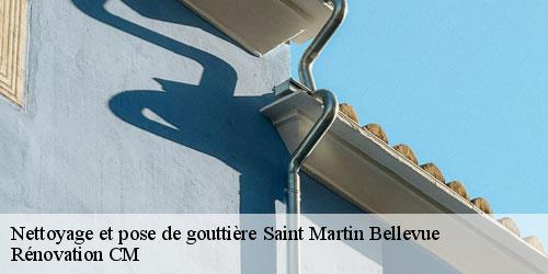 Nettoyage et pose de gouttière  saint-martin-bellevue-74370 Rénovation CM