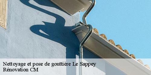 Nettoyage et pose de gouttière  le-sappey-74350 Rénovation CM
