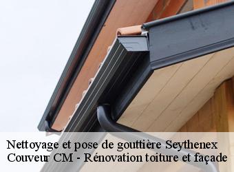 Nettoyage et pose de gouttière seythenex-74210 Couveur CM - Rénovation toiture et façade