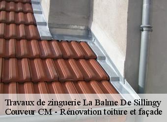 Travaux de zinguerie  la-balme-de-sillingy-74330 Couveur CM - Rénovation toiture et façade