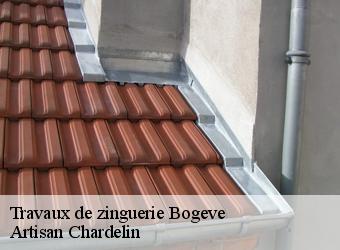Travaux de zinguerie  bogeve-74250 Artisan Chardelin