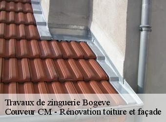 Travaux de zinguerie bogeve-74250 Couveur CM - Rénovation toiture et façade