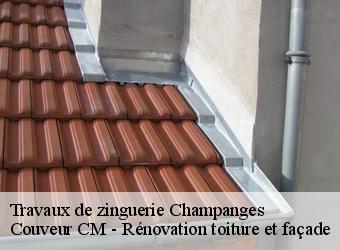 Travaux de zinguerie  champanges-74500 Couveur CM - Rénovation toiture et façade