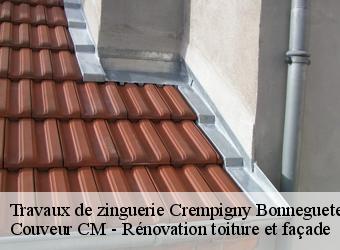 Travaux de zinguerie crempigny-bonneguete-74150 Couveur CM - Rénovation toiture et façade