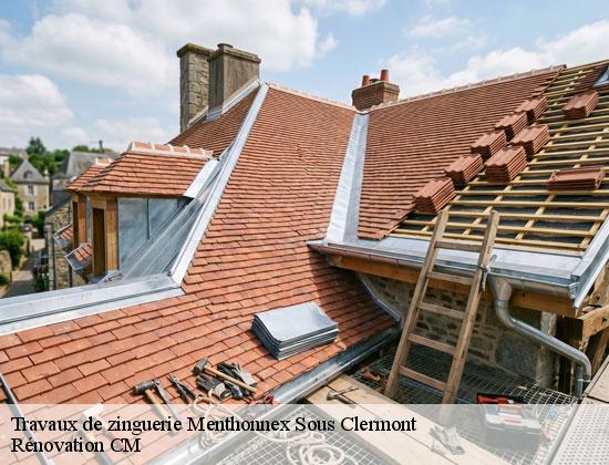 Travaux de zinguerie  menthonnex-sous-clermont-74270 Rénovation CM