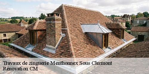 Travaux de zinguerie  menthonnex-sous-clermont-74270 Rénovation CM