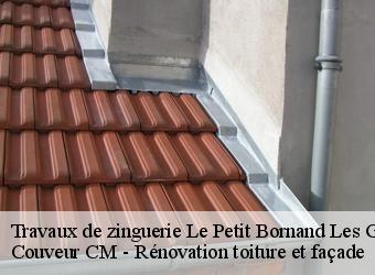Travaux de zinguerie  le-petit-bornand-les-glie-74130 Couveur CM - Rénovation toiture et façade