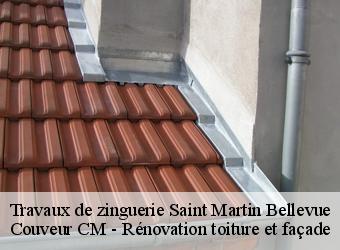 Travaux de zinguerie saint-martin-bellevue-74370 Couveur CM - Rénovation toiture et façade