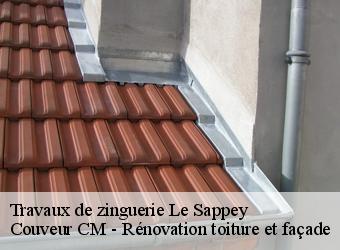 Travaux de zinguerie le-sappey-74350 Couveur CM - Rénovation toiture et façade