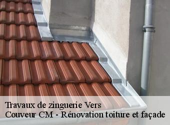 Travaux de zinguerie vers-74160 Couveur CM - Rénovation toiture et façade