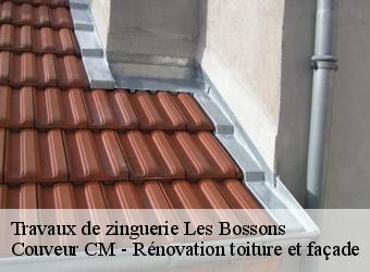 Travaux de zinguerie les-bossons-74400 Couveur CM - Rénovation toiture et façade