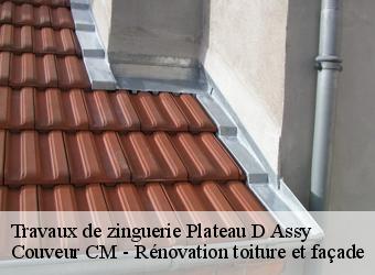 Travaux de zinguerie plateau-d-assy-74480 Couveur CM - Rénovation toiture et façade