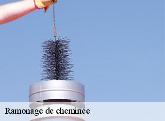 Ramonage de cheminée