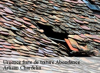 Urgence fuite de toiture  abondance-74360 Artisan Chardelin