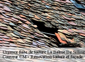 Urgence fuite de toiture  la-balme-de-sillingy-74330 Couveur CM - Rénovation toiture et façade
