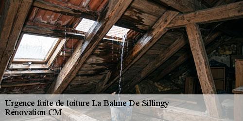 Urgence fuite de toiture la-balme-de-sillingy-74330 Rénovation CM