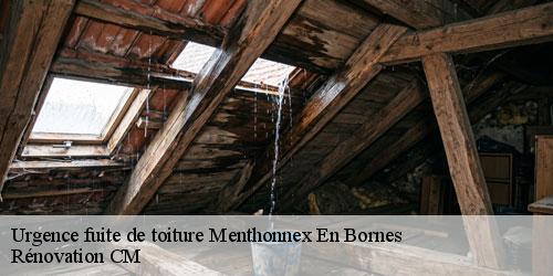 Urgence fuite de toiture menthonnex-en-bornes-74350 Rénovation CM