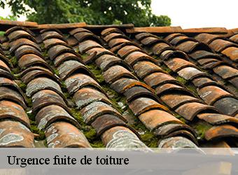 Urgence fuite de toiture