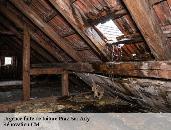 Urgence fuite de toiture praz-sur-arly-74120 Rénovation CM