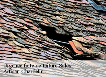 Urgence fuite de toiture  sales-74150 Artisan Chardelin