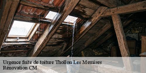 Urgence fuite de toiture thollon-les-memises-74500 Rénovation CM