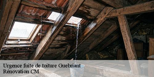 Urgence fuite de toiture  guebriant-74480 Rénovation CM