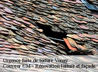 Urgence fuite de toiture vongy-74200 Couveur CM - Rénovation toiture et façade