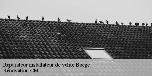 Réparateur installateur de velux boege-74420 Rénovation CM