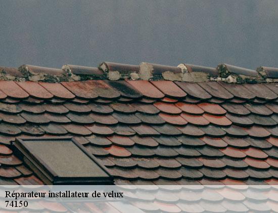Réparateur installateur de velux bonneguete-74150 Rénovation CM