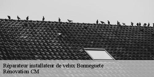 Réparateur installateur de velux bonneguete-74150 Rénovation CM