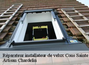 Réparateur installateur de velux  cons-sainte-colombe-74210 Artisan Chardelin