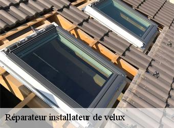 Réparateur installateur de velux