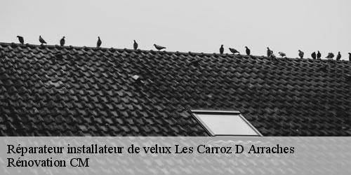 Réparateur installateur de velux les-carroz-d-arraches-74300 Rénovation CM